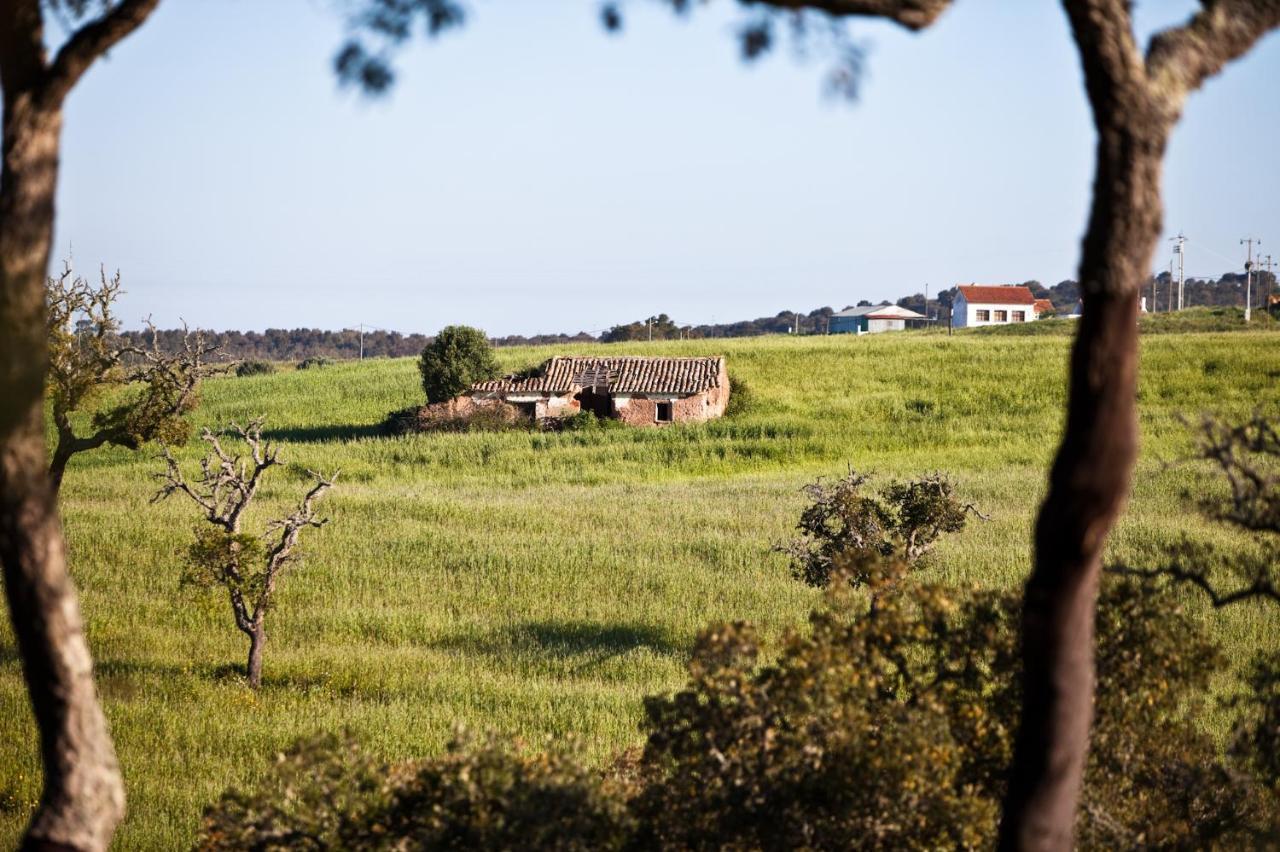 Eco Glamping Portugal Nature Lodge São Luis Exterior foto