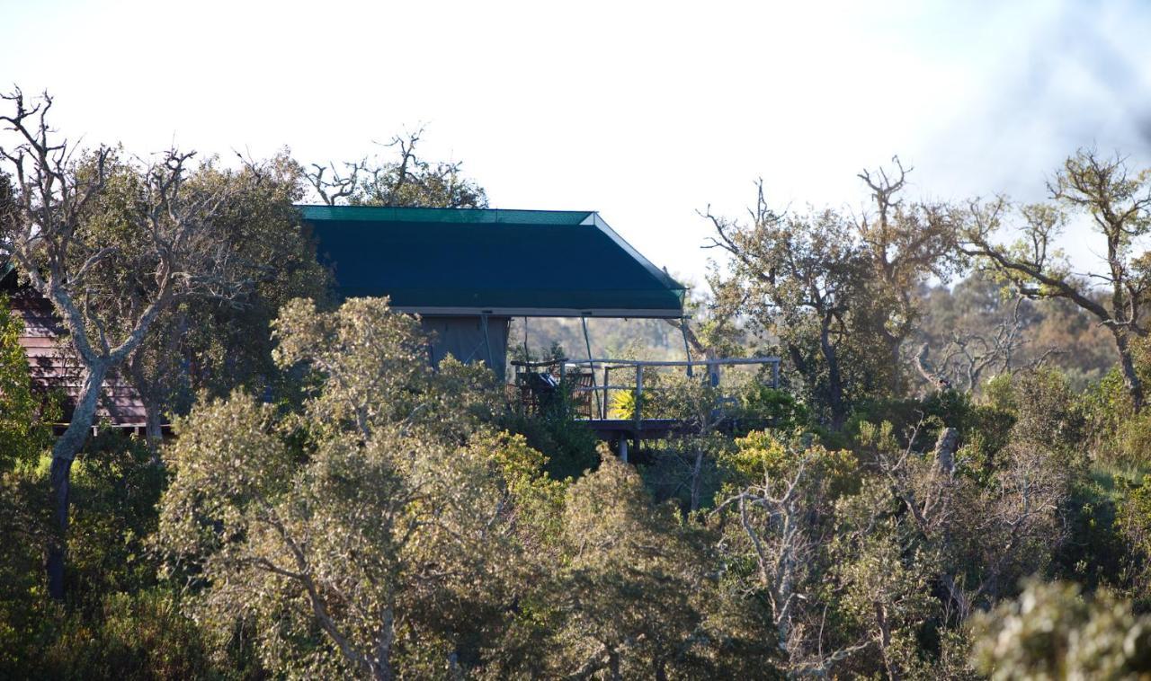 Eco Glamping Portugal Nature Lodge São Luis Exterior foto