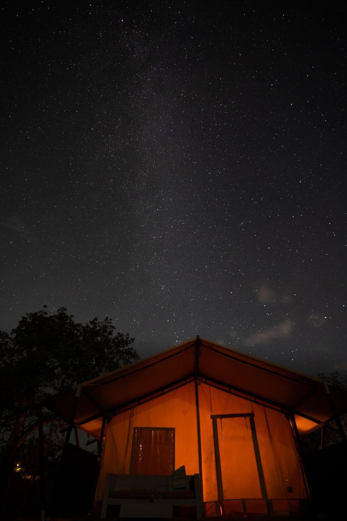 Eco Glamping Portugal Nature Lodge São Luis Exterior foto