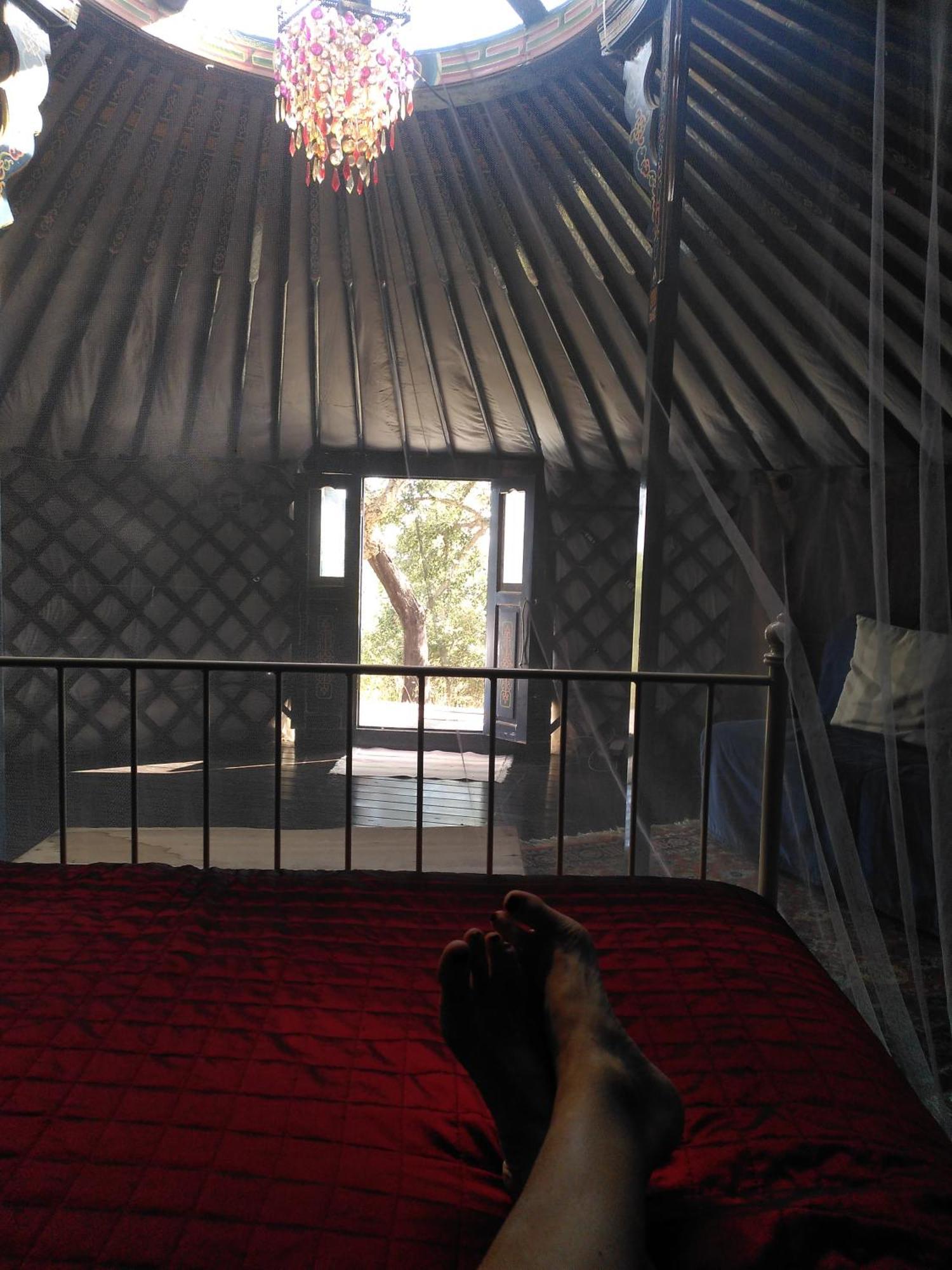 Eco Glamping Portugal Nature Lodge São Luis Exterior foto